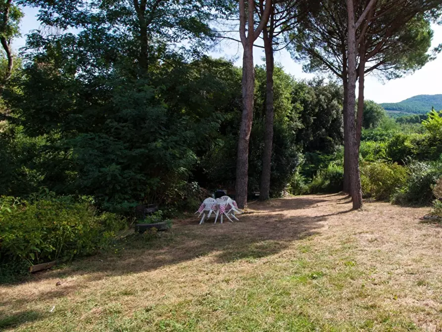 Immagine 9 di Rustico / casale in vendita  a Calci