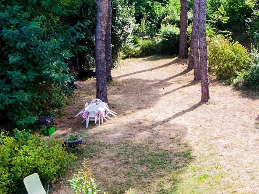 Immagine 13 di Rustico / casale in vendita  a Calci