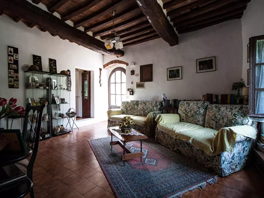 Immagine 18 di Rustico / casale in vendita  a Calci