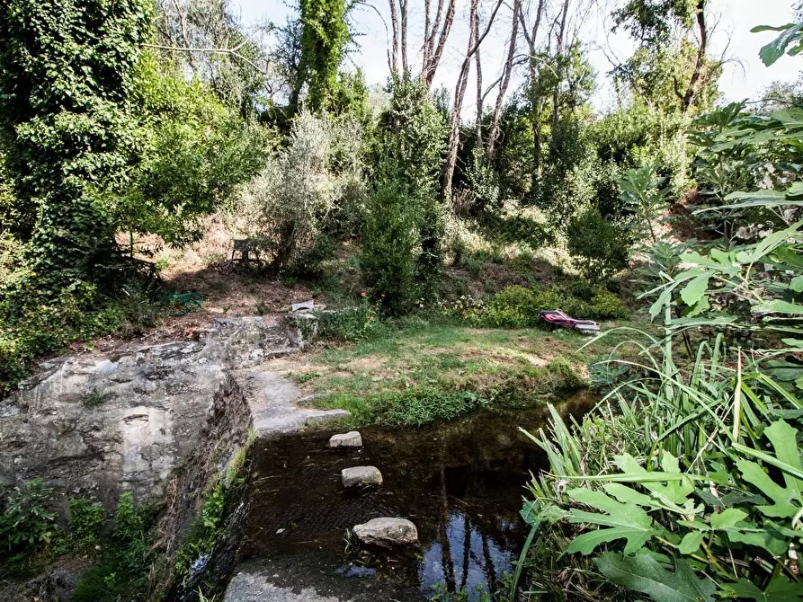 Immagine 3 di Rustico / casale in vendita  a Calci