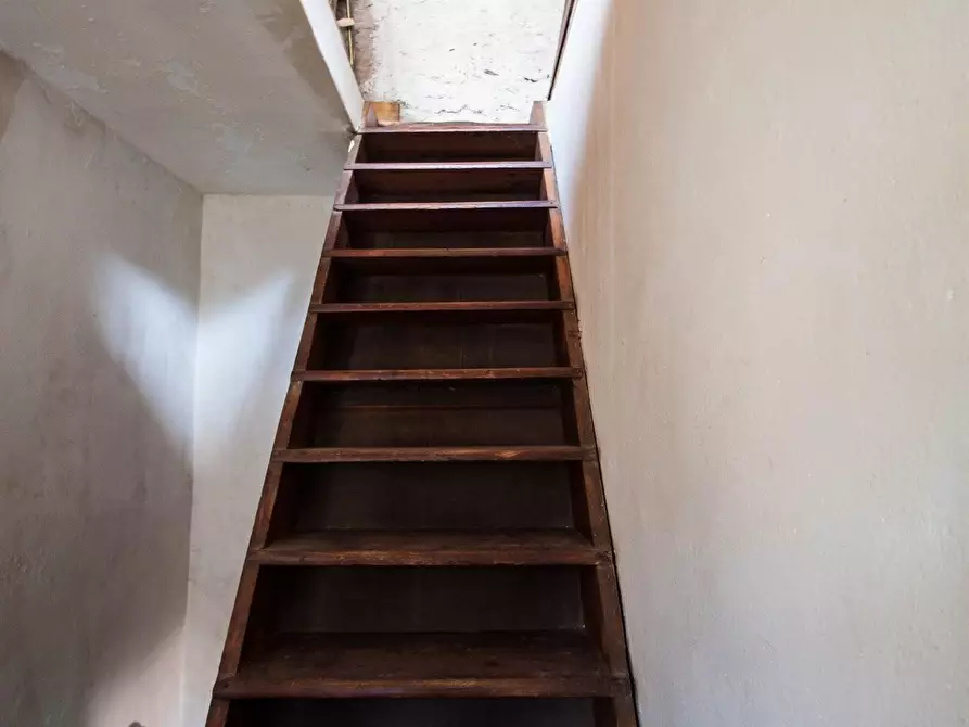 Immagine 8 di Rustico / casale in vendita  a Calci