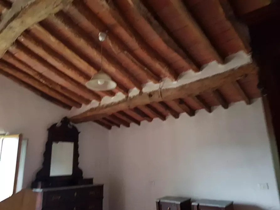 Immagine 13 di Rustico / casale in vendita  a Calci
