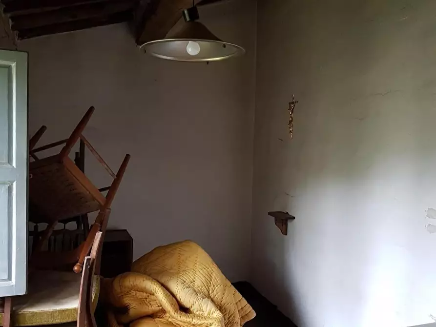 Immagine 5 di Rustico / casale in vendita  a Calci