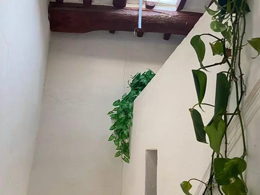 Immagine 33 di Palazzo in vendita  a Calci