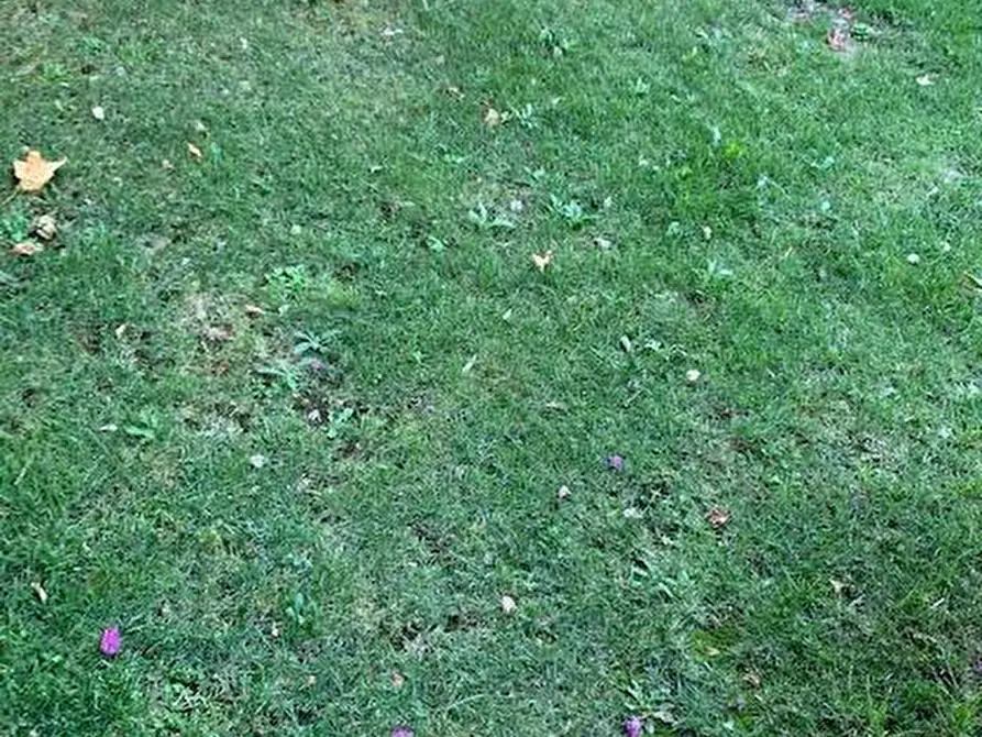 Immagine 17 di Villa in vendita  a Calci