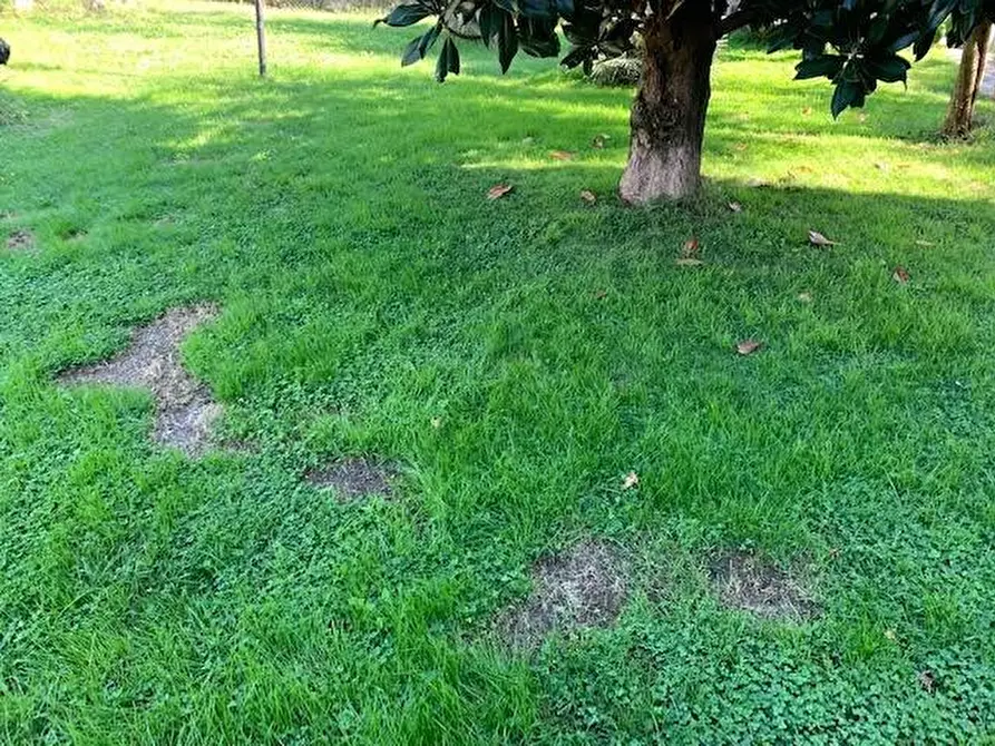 Immagine 18 di Villa in vendita  a Calci