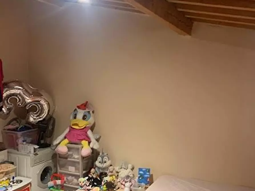 Immagine 16 di Appartamento in vendita  a Calci