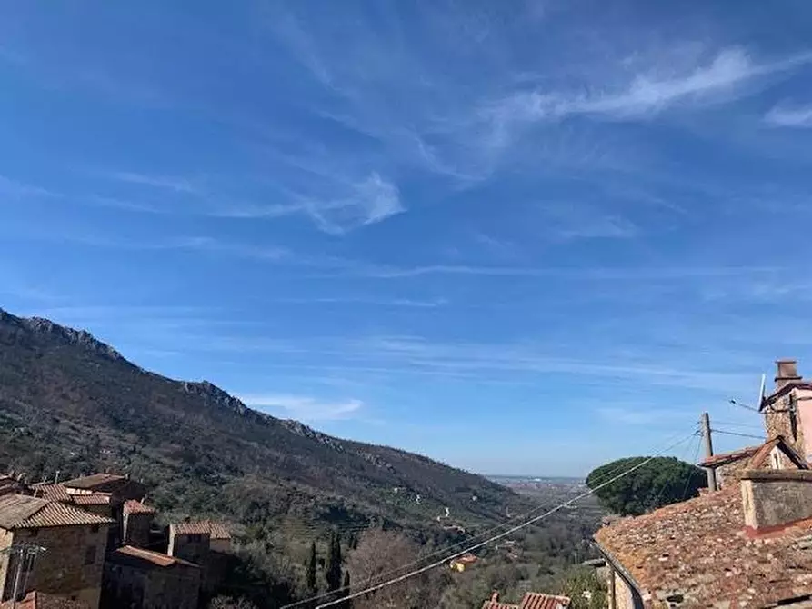 Immagine 11 di Appartamento in vendita  a Calci
