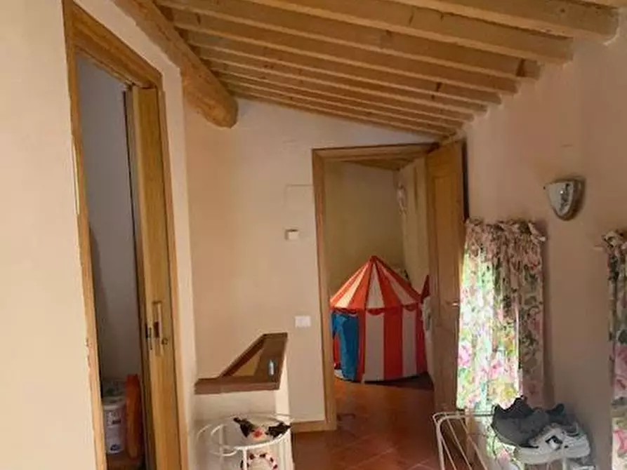 Immagine 19 di Appartamento in vendita  a Calci