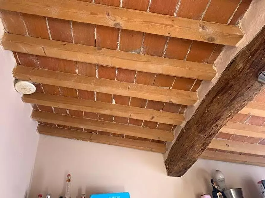 Immagine 5 di Appartamento in vendita  a Calci