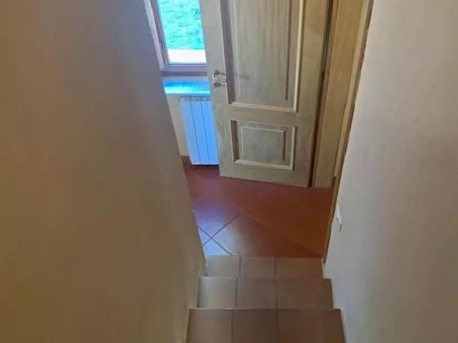 Immagine 20 di Appartamento in vendita  a Calci