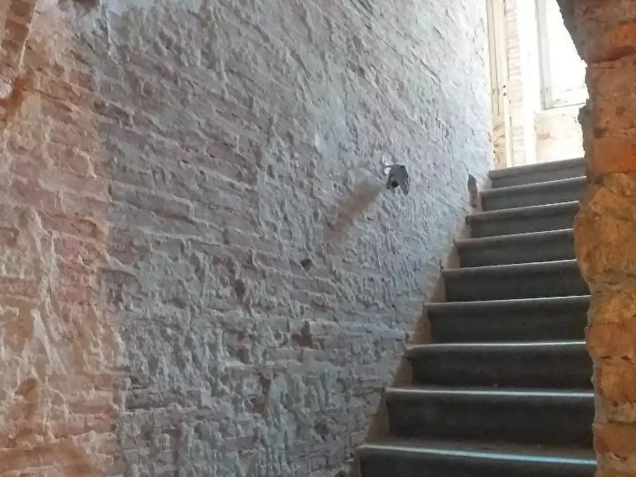 Immagine 6 di Rustico / casale in vendita  a Calci