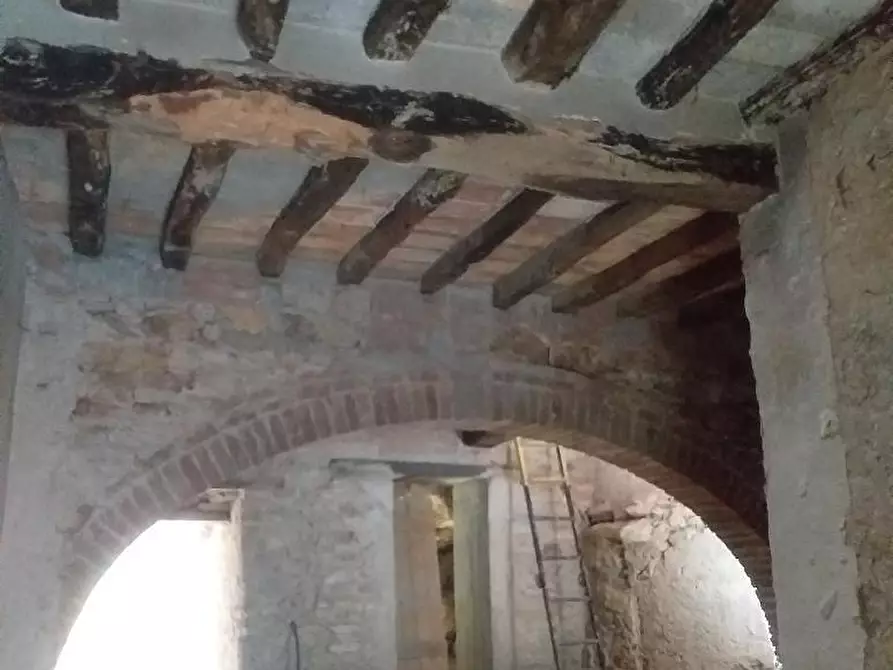 Immagine 8 di Rustico / casale in vendita  a Calci