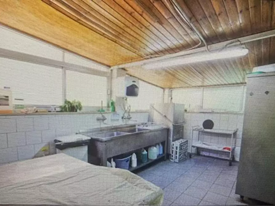 Immagine 19 di Locale commerciale in vendita  a Casciana Terme Lari