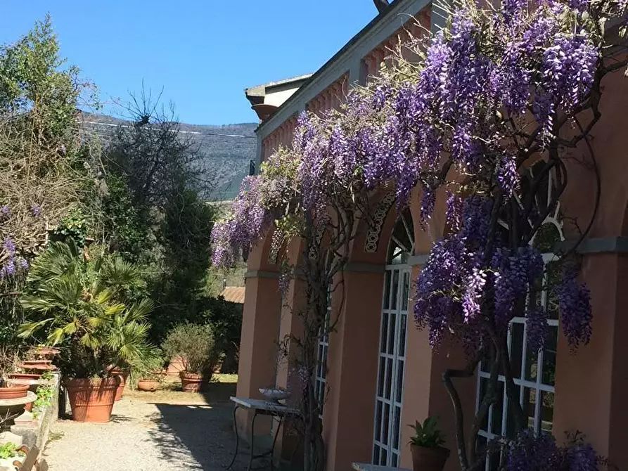 Immagine 12 di Villa in vendita  a Calci