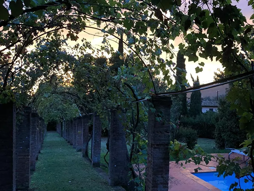 Immagine 6 di Villa in vendita  a Calci