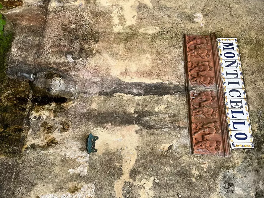 Immagine 3 di Casa colonica in vendita  a Calci