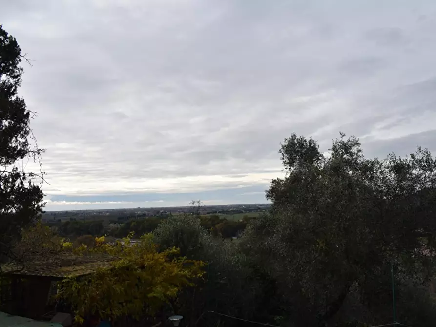 Immagine 21 di Casa colonica in vendita  a Calci