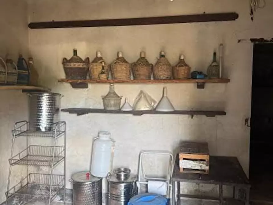 Immagine 3 di Casa semindipendente in vendita  a Calci