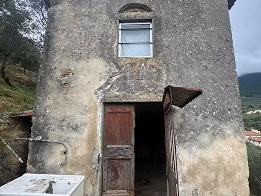 Immagine 1 di Terreno agricolo in vendita  a Calci