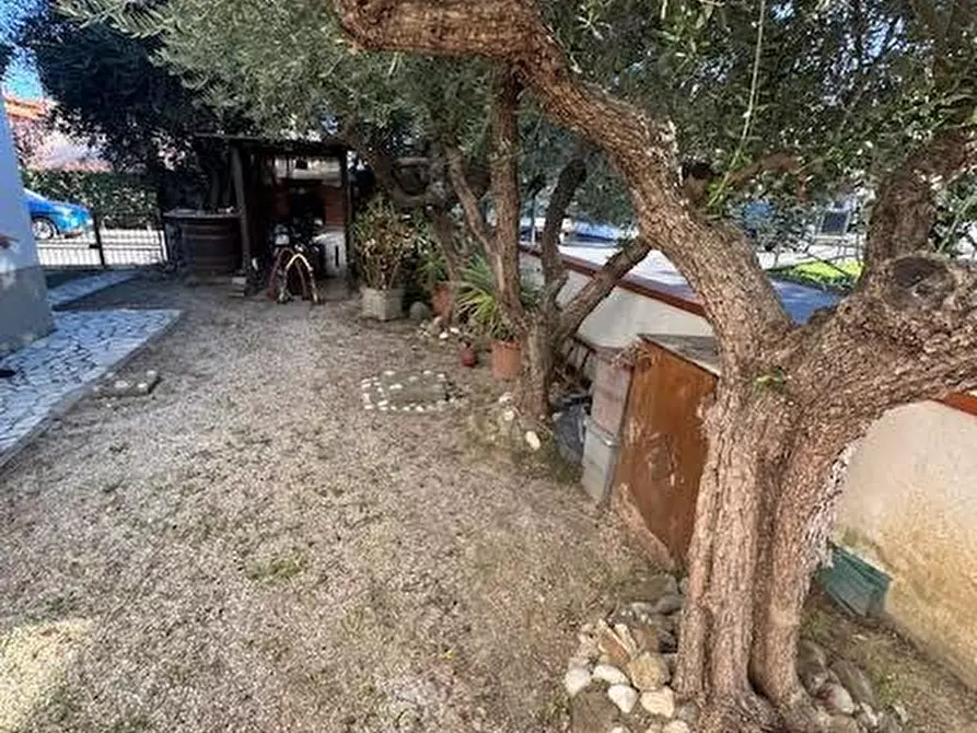 Immagine 1 di Appartamento in vendita  a Vicopisano