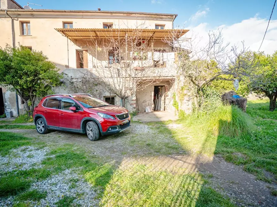 Immagine 13 di Casa colonica in vendita  a Massa