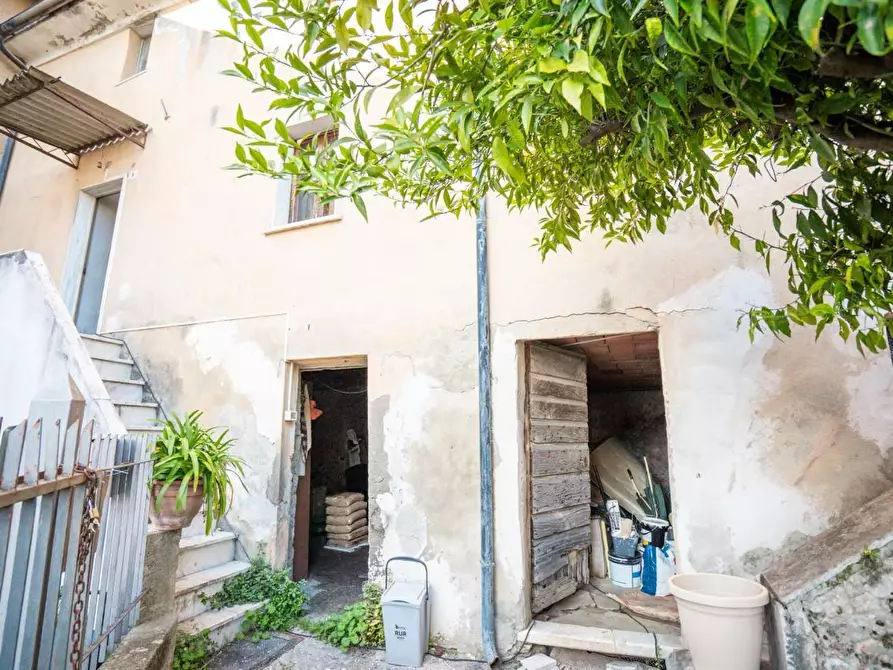 Immagine 15 di Casa colonica in vendita  a Massa