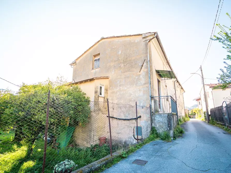 Immagine 23 di Casa colonica in vendita  a Massa