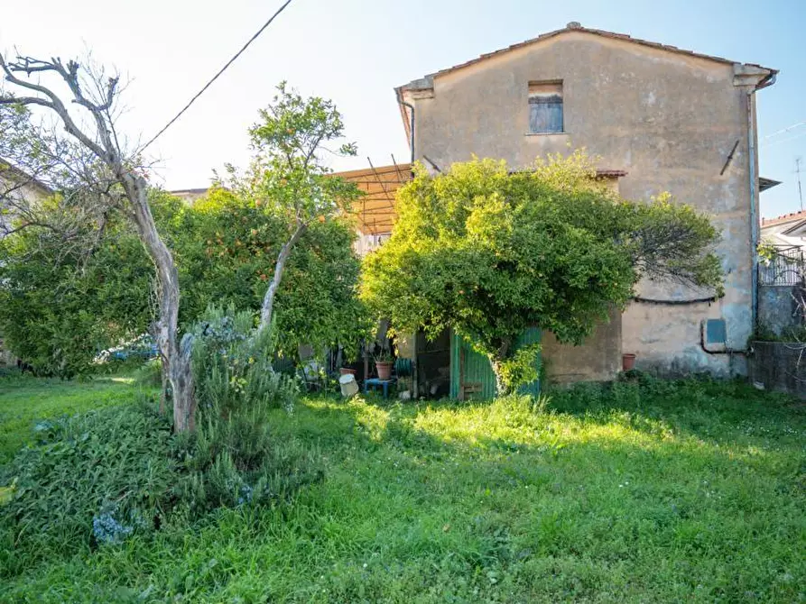Immagine 16 di Casa colonica in vendita  a Massa