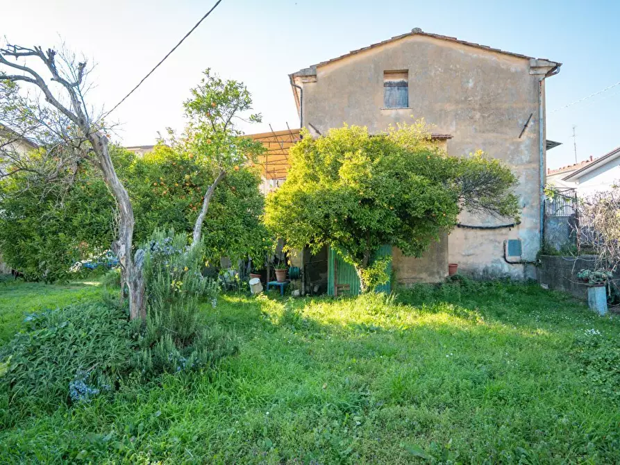 Immagine 25 di Casa colonica in vendita  a Massa
