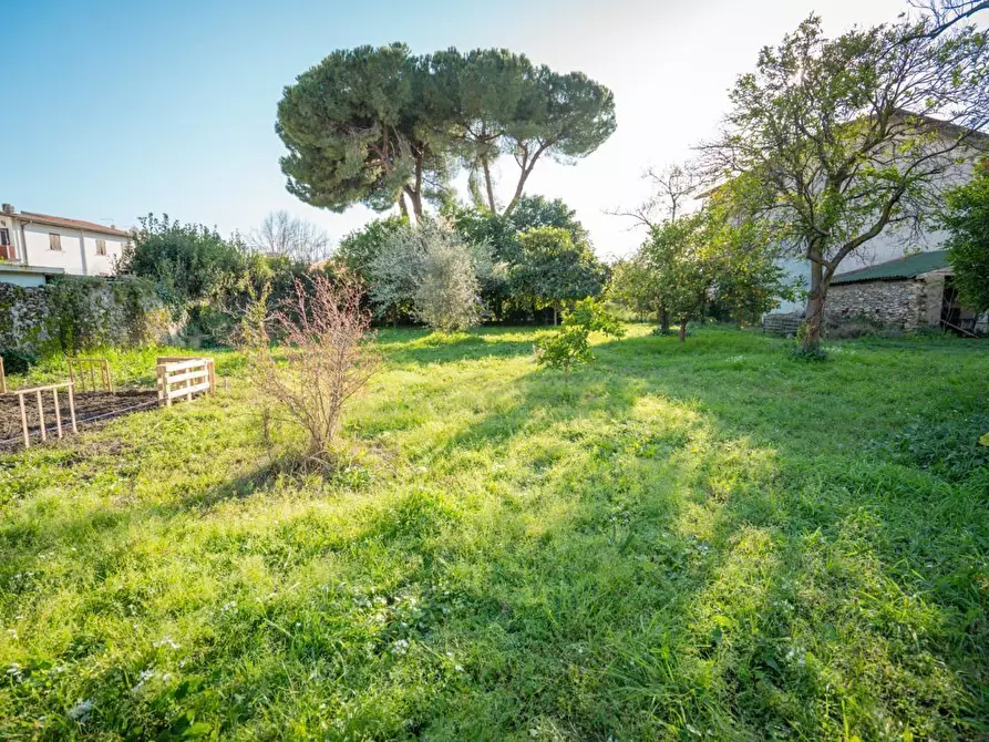 Immagine 20 di Casa colonica in vendita  a Massa