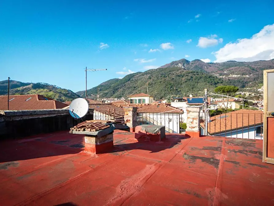 Immagine 11 di Casa colonica in vendita  a Massa