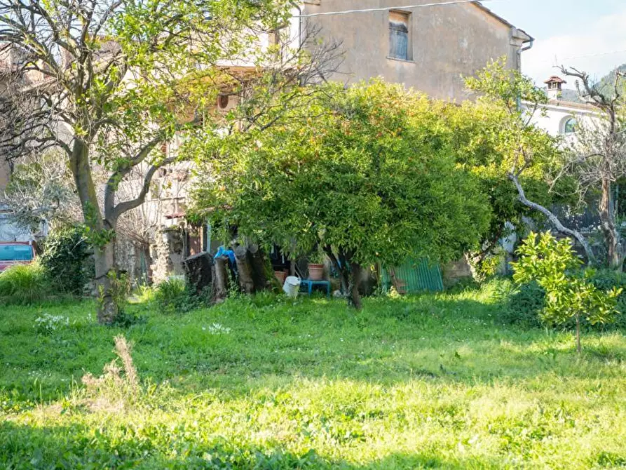 Immagine 2 di Casa colonica in vendita  a Massa