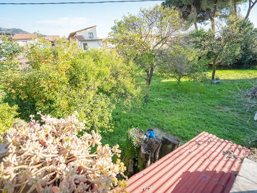 Immagine 22 di Casa colonica in vendita  a Massa