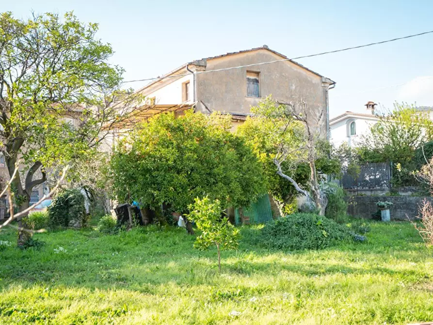 Immagine 14 di Casa colonica in vendita  a Massa