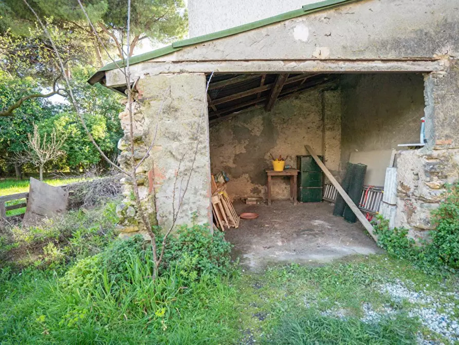 Immagine 27 di Casa colonica in vendita  a Massa