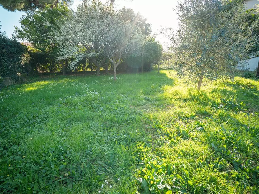 Immagine 3 di Casa colonica in vendita  a Massa