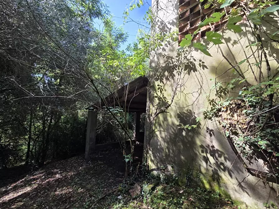 Immagine 15 di Casa colonica in vendita  a Lucca