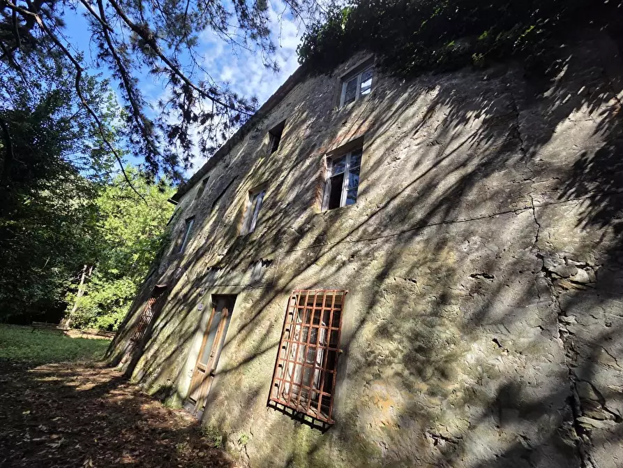 Immagine 18 di Casa colonica in vendita  a Lucca
