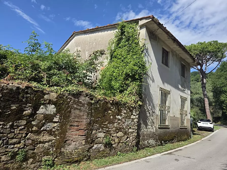 Immagine 1 di Casa colonica in vendita  a Lucca