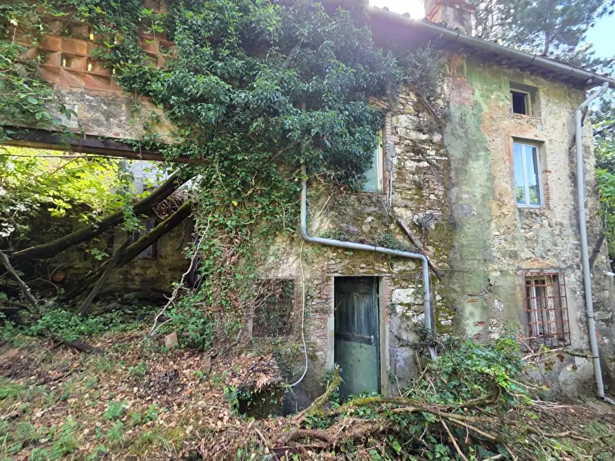 Immagine 32 di Casa colonica in vendita  a Lucca