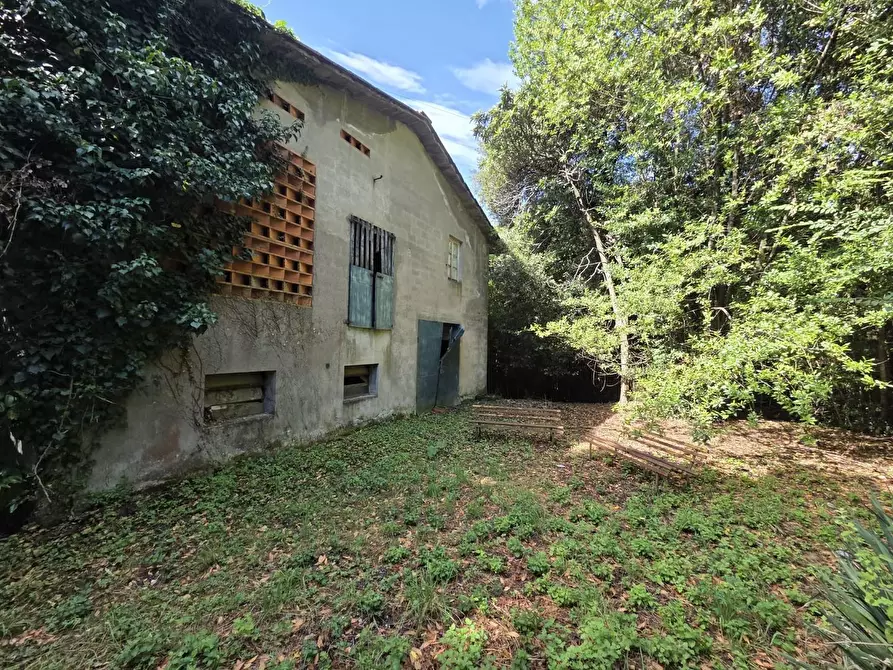 Immagine 29 di Casa colonica in vendita  a Lucca