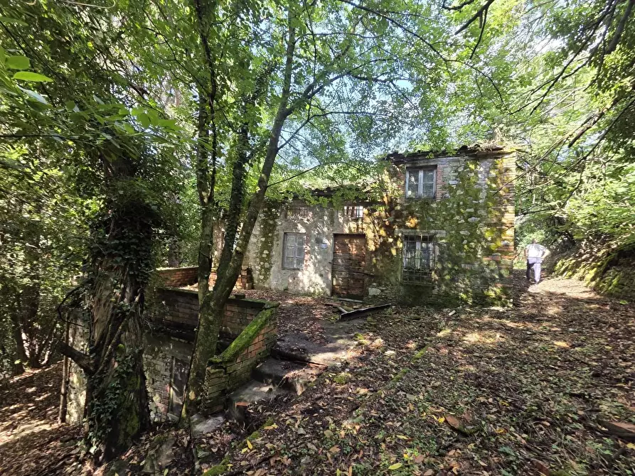 Immagine 8 di Casa colonica in vendita  a Lucca