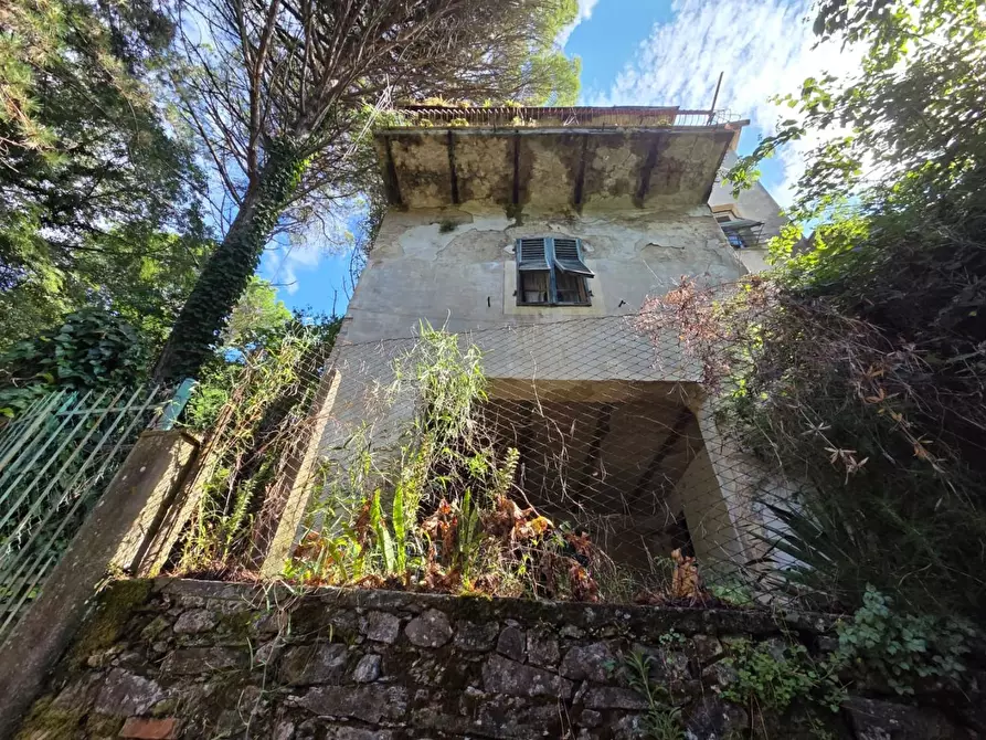 Immagine 19 di Casa colonica in vendita  a Lucca