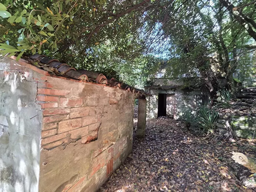 Immagine 10 di Casa colonica in vendita  a Lucca