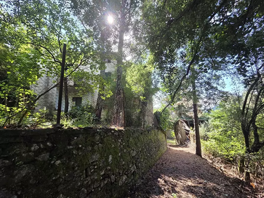 Immagine 6 di Casa colonica in vendita  a Lucca