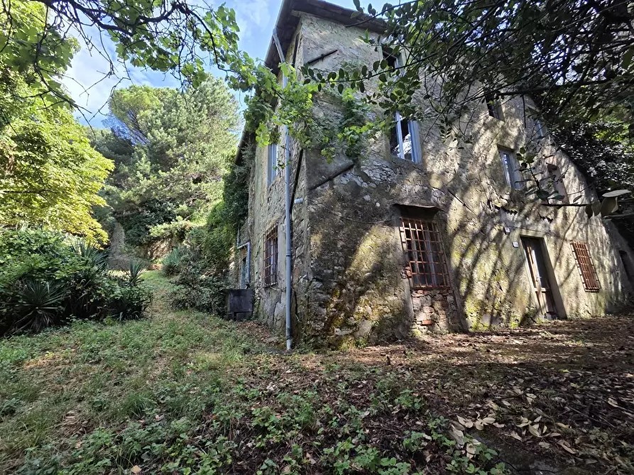 Immagine 20 di Casa colonica in vendita  a Lucca