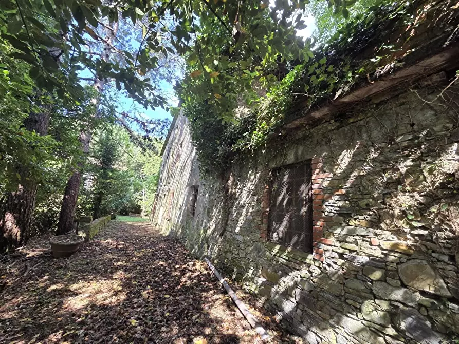 Immagine 16 di Casa colonica in vendita  a Lucca