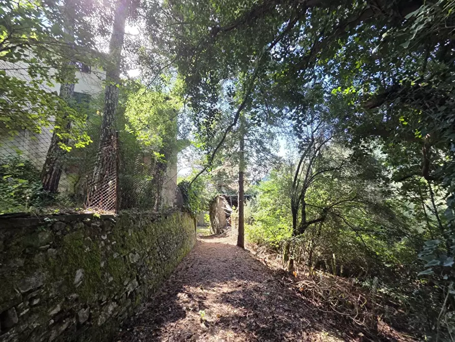 Immagine 3 di Casa colonica in vendita  a Lucca