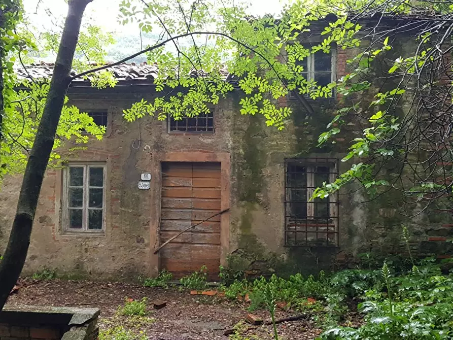 Immagine 5 di Casa colonica in vendita  a Lucca
